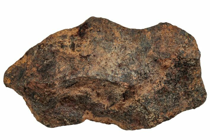 Agoudal Iron Meteorite ( g) - Morocco #288884